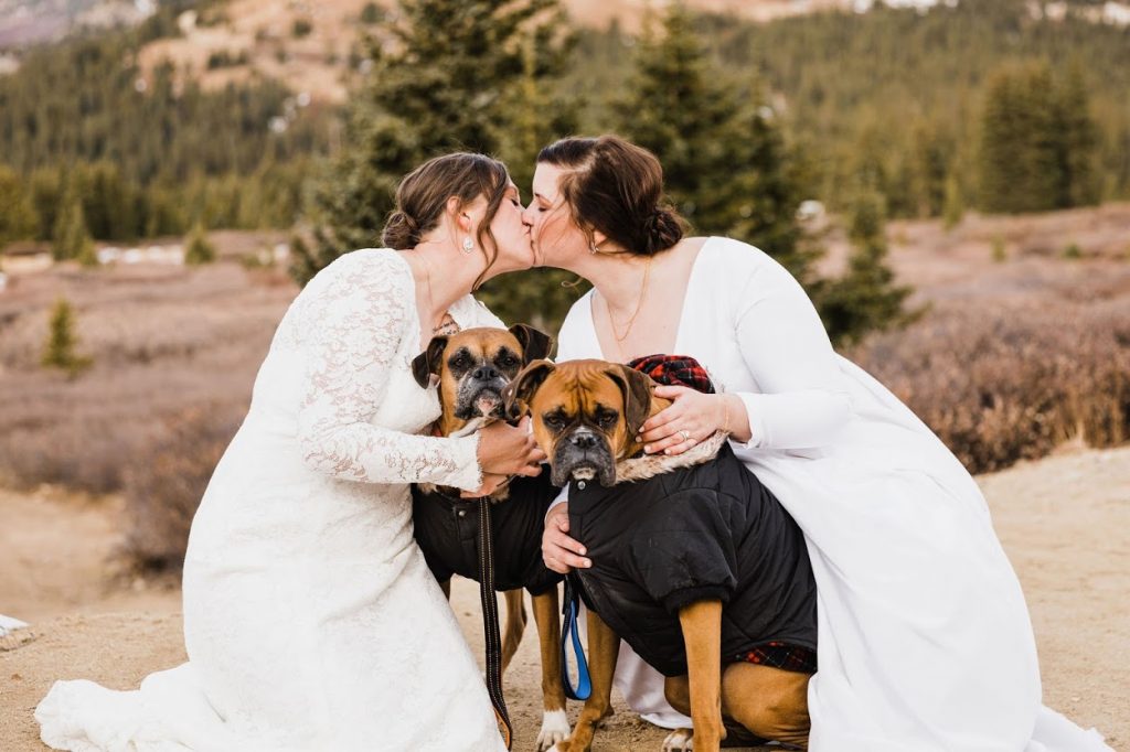 two brides and dog