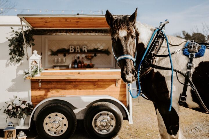 Horse staying near to bar