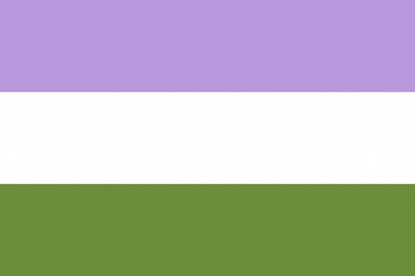 Genderqueer flagga