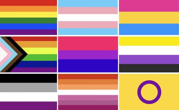 28 LGBTQ+ PRIDE FLAGS: LESBIAN, GAY, BISEXUAL+ [2024]