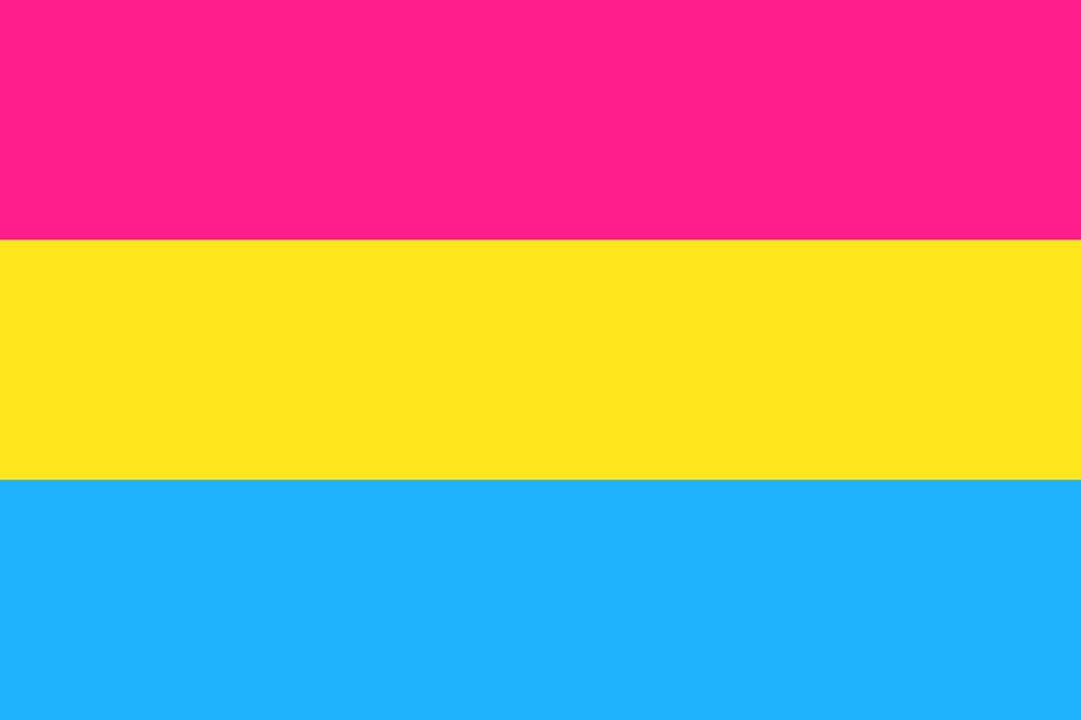 Pansexuálna vlajka