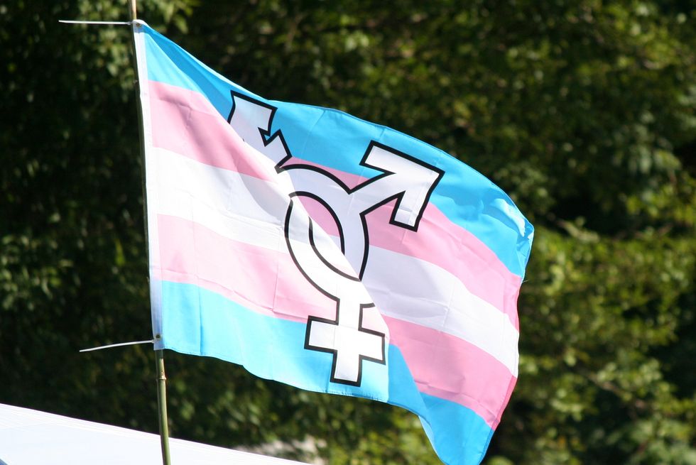 THE ULTIMATE GUIDE TO LGBTQ PRIDE FLAGS EVOL LGBT